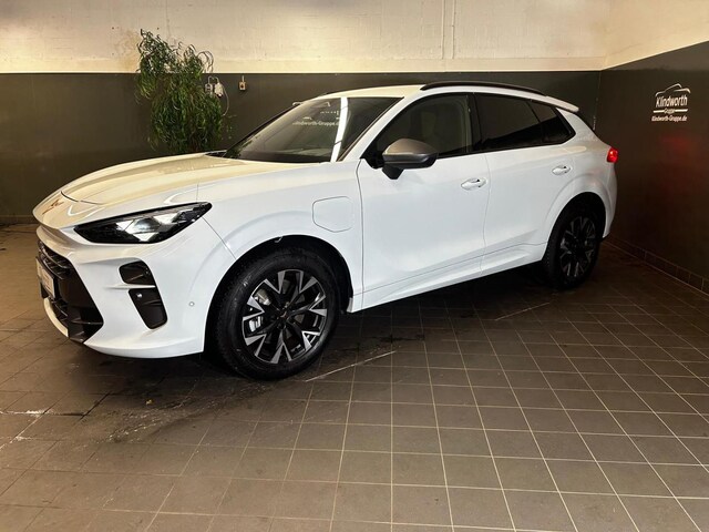 Bild des Autos 3