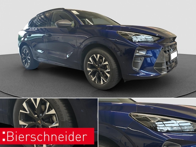 Bild des Autos 11